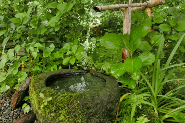 山の湧き水